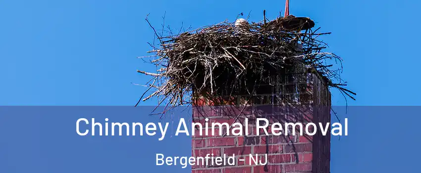  Chimney Animal Removal Bergenfield - NJ