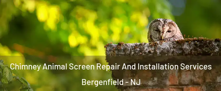 Chimney Animal Screen Repair And Installation Services Bergenfield - NJ