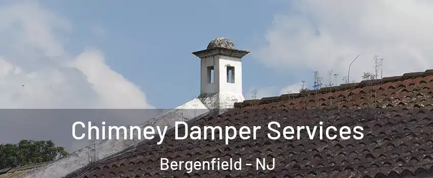  Chimney Damper Services Bergenfield - NJ