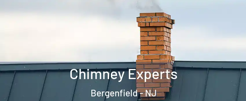  Chimney Experts Bergenfield - NJ