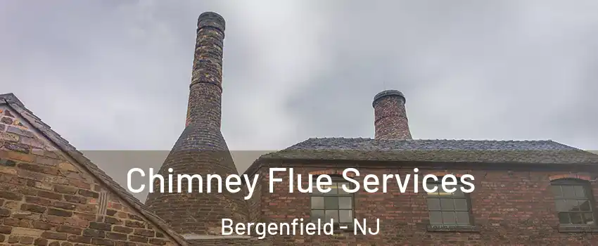  Chimney Flue Services Bergenfield - NJ