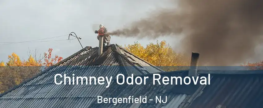  Chimney Odor Removal Bergenfield - NJ