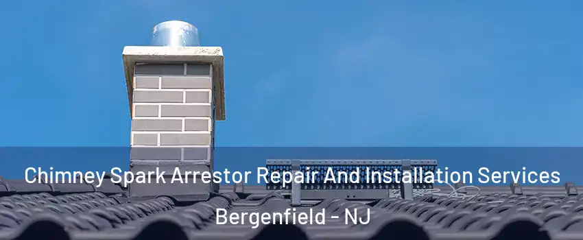  Chimney Spark Arrestor Repair And Installation Services Bergenfield - NJ