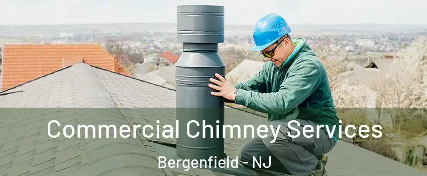  Commercial Chimney Services Bergenfield - NJ