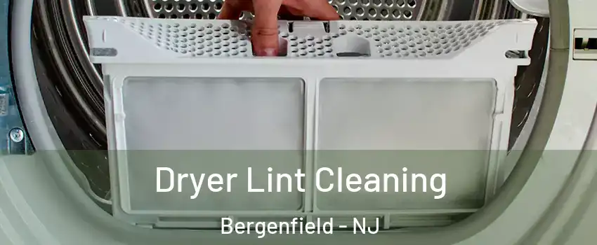  Dryer Lint Cleaning Bergenfield - NJ