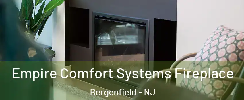  Empire Comfort Systems Fireplace Bergenfield - NJ