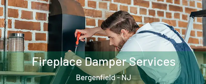 Fireplace Damper Services Bergenfield - NJ