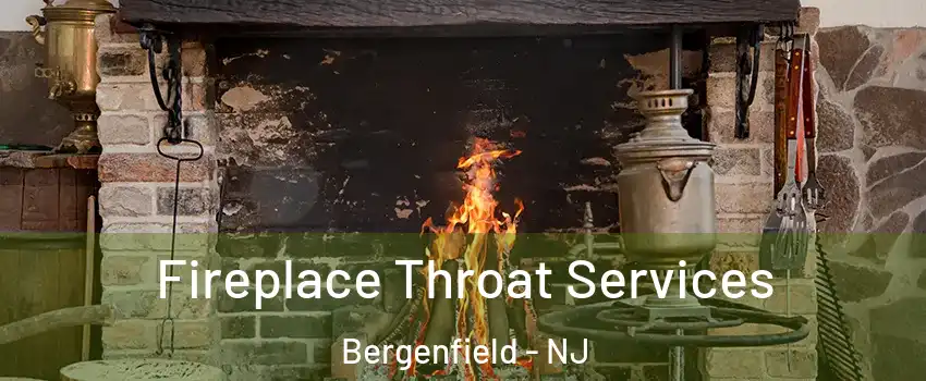  Fireplace Throat Services Bergenfield - NJ