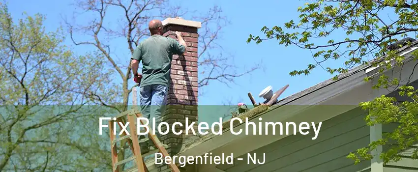  Fix Blocked Chimney Bergenfield - NJ