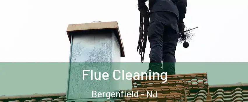  Flue Cleaning Bergenfield - NJ