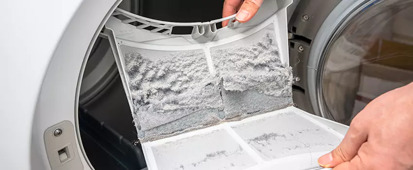 Best Dryer Lint Removal Company in Bergenfield, New Jersey