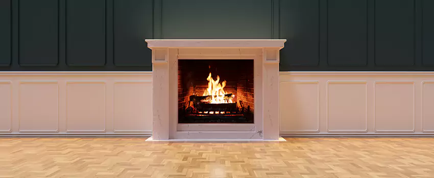Napoleon Electric Fireplaces Inspection Service in Bergenfield, New Jersey