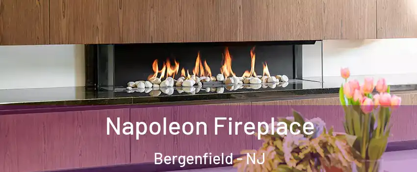  Napoleon Fireplace Bergenfield - NJ